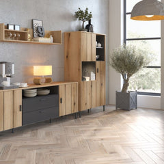 Arundel 2 Door Display Cabinet in Oak/Grey - Furniture One Shop