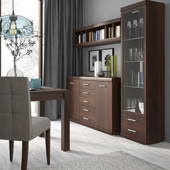 Imperial Tall Glazed 1 Door 2 Drawer Narrow Cabinet in Dark Mahogany Melamine - Furniture One Shop