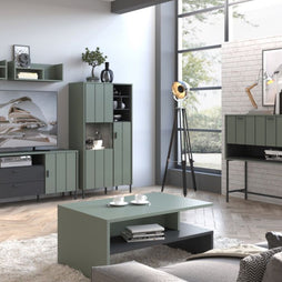 Arundel 2 Door Display Cabinet in Green/Grey - Furniture One Shop