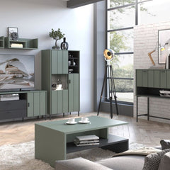 Arundel 2 Door Display Cabinet in Green/Grey - Furniture One Shop